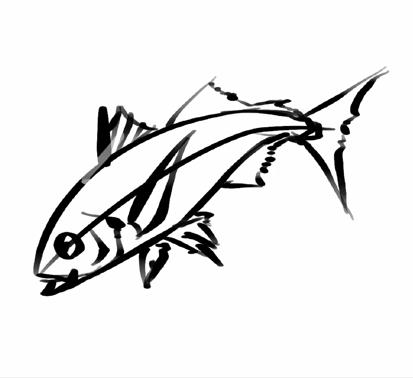 アジを立体的にとらえるため、頭・胴・尾の位置関係にボリュームをあてたラフスケッチ図。魚の体形の厚みや立体感を意識。