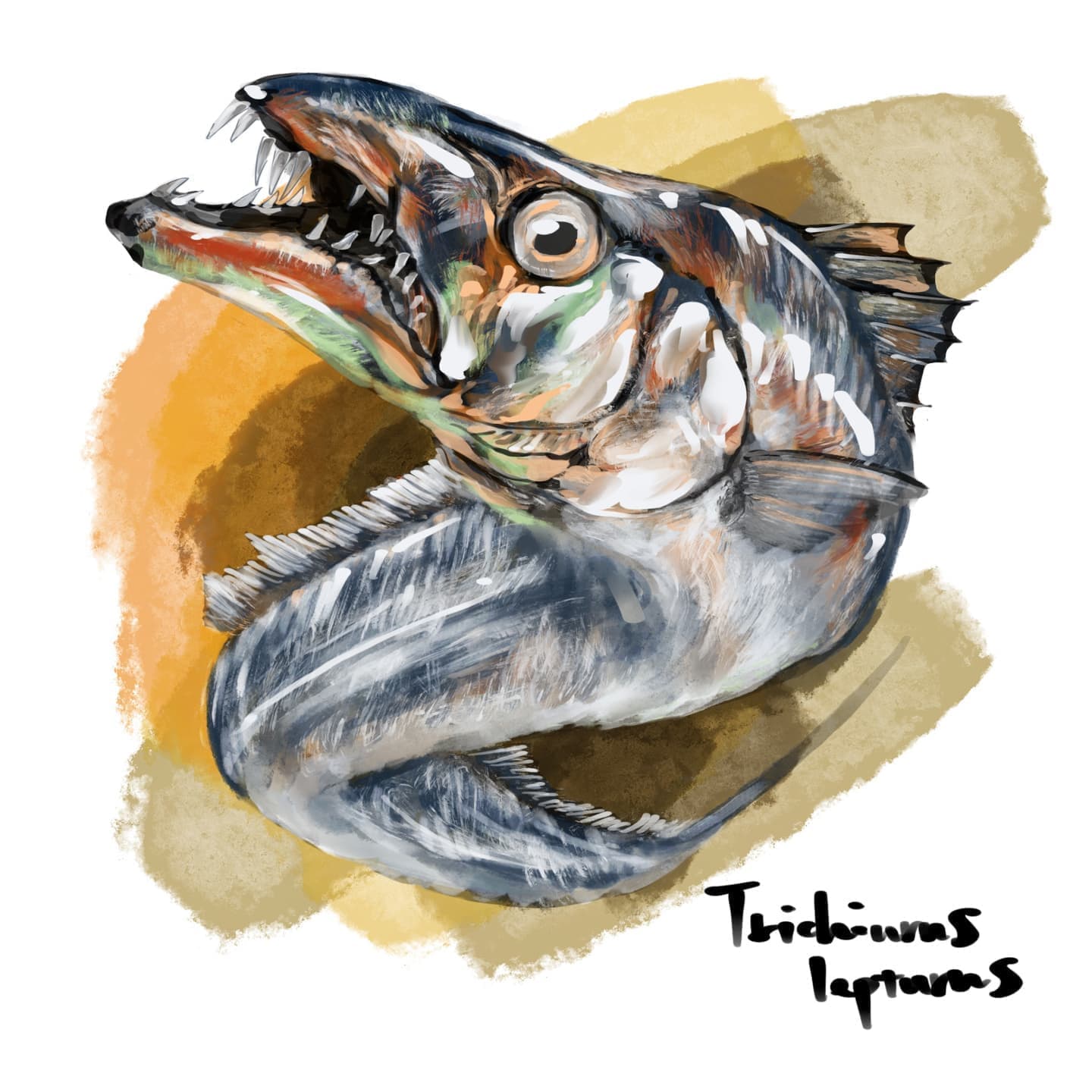 タチウオの正確で美しい魚イラスト素材。