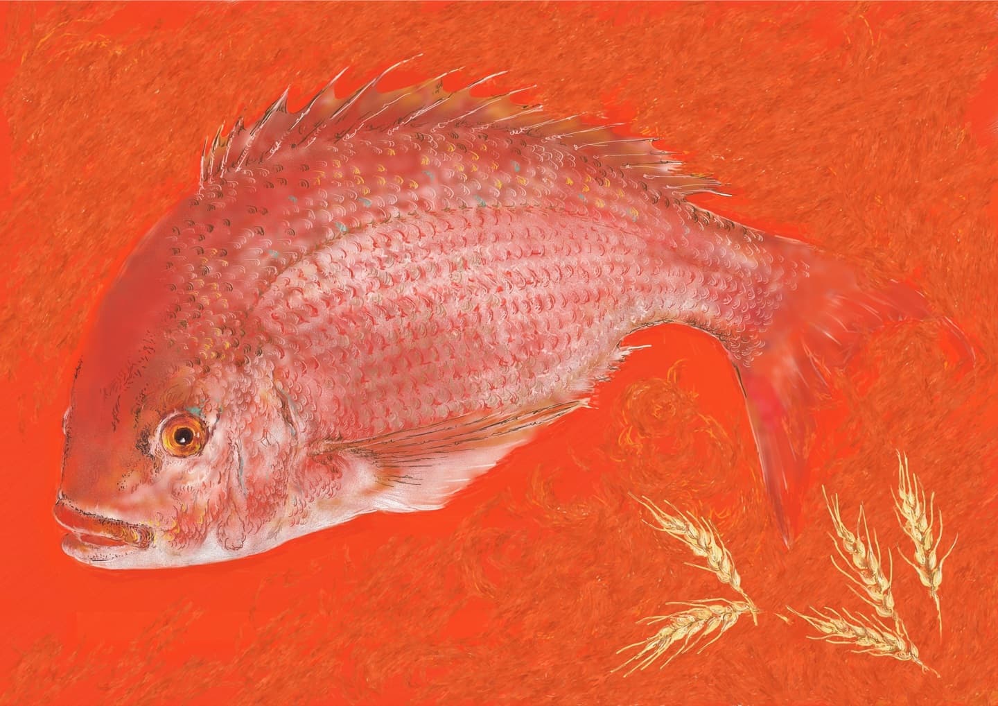 料亭の新年の挨拶用ハガキのために制作したタイのイラスト