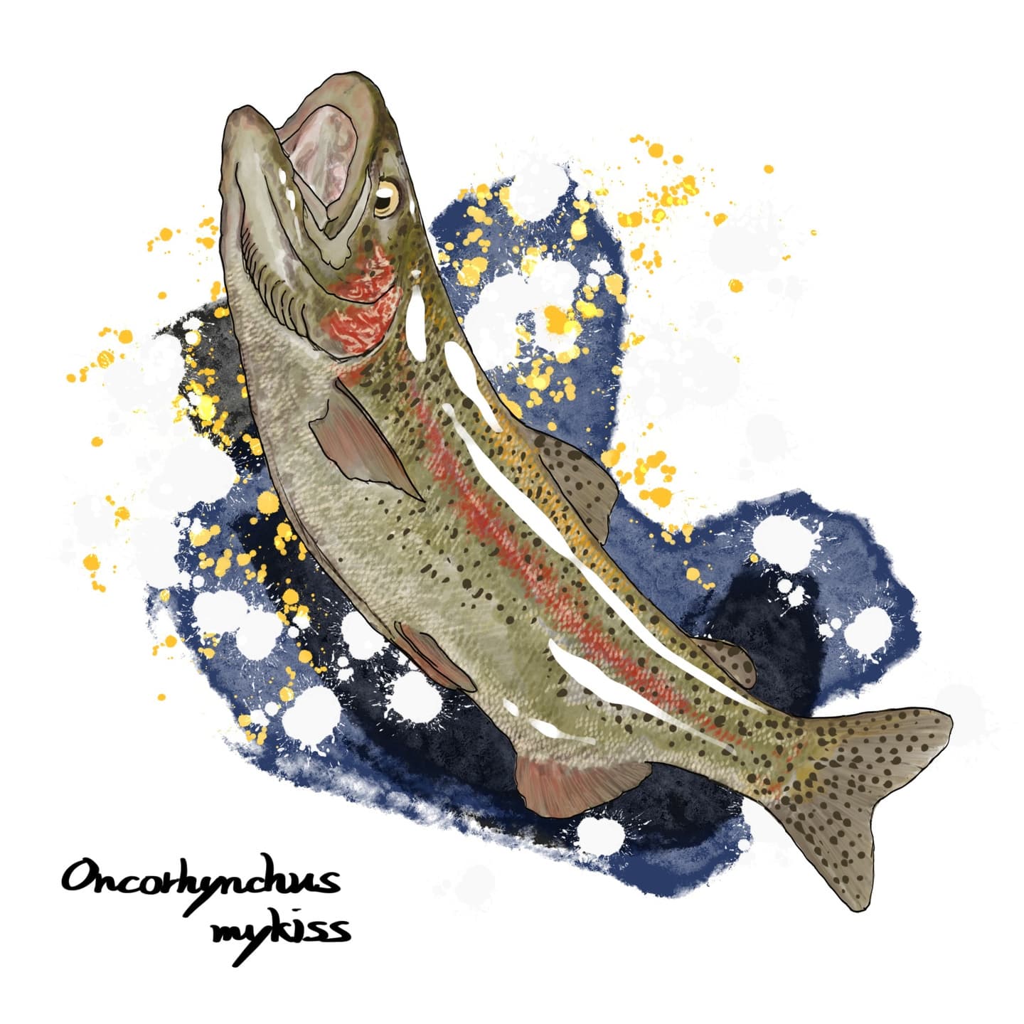 ニジマス(Oncorhynchus mykiss)のイラスト。銀緑色の体側に赤い縦帯が走り、水しぶきを背景に力強く跳ね上がる姿を描写。