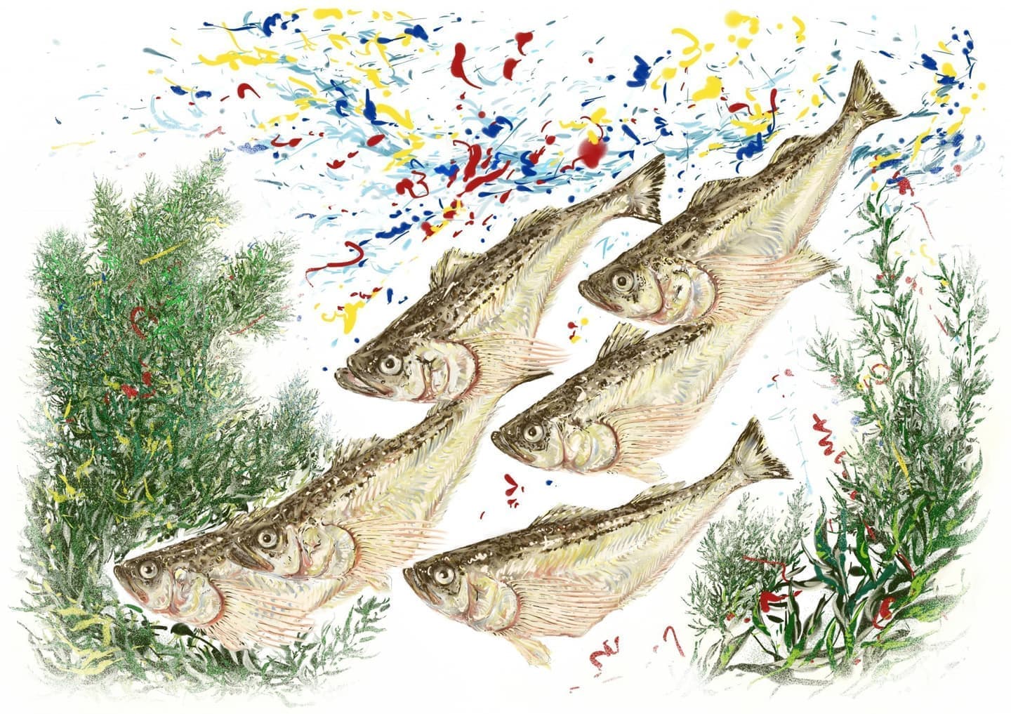 ハタハタ（学名: Arctoscopus japonicus）の正確で美しい魚イラスト素材