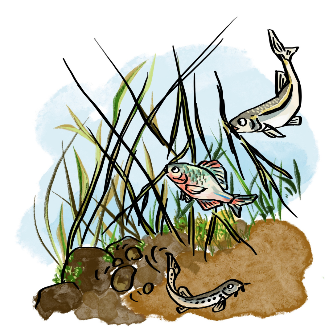 トトたちが協力して水草や石を積み上げ、隠れ場所を作っている智慧と団結のイラスト