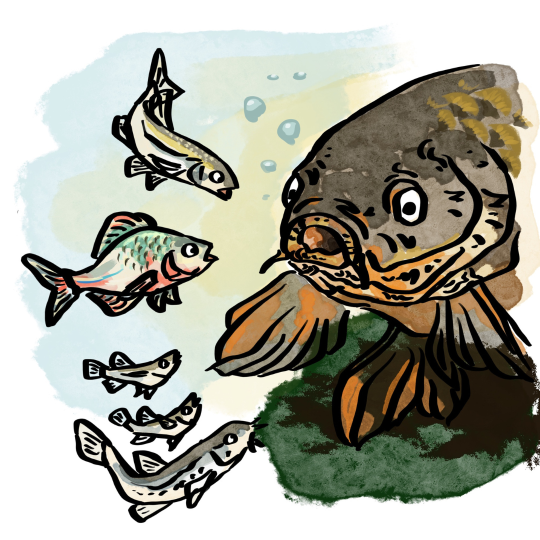 コイじいの知恵をもらって、トトたちは自分たちの戦う道を考えるシーン