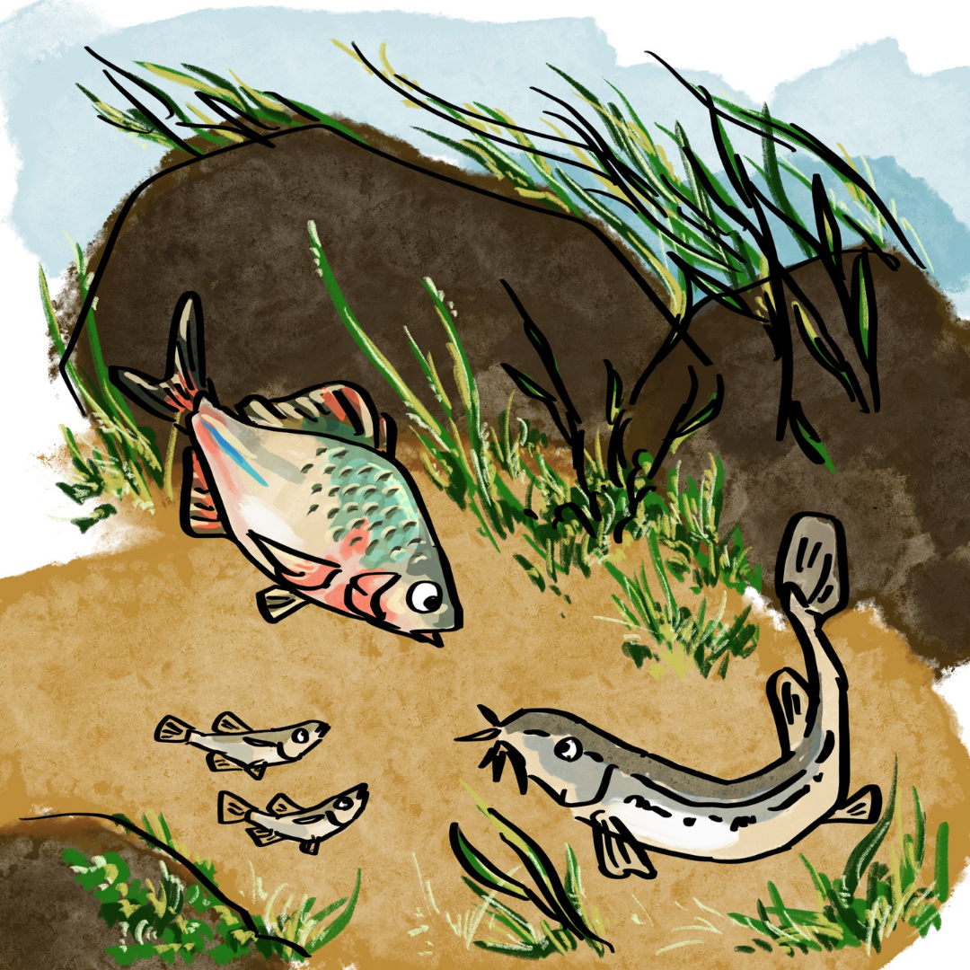 石の影に身を隠したトトたちは生き残るために話し合いを行います。