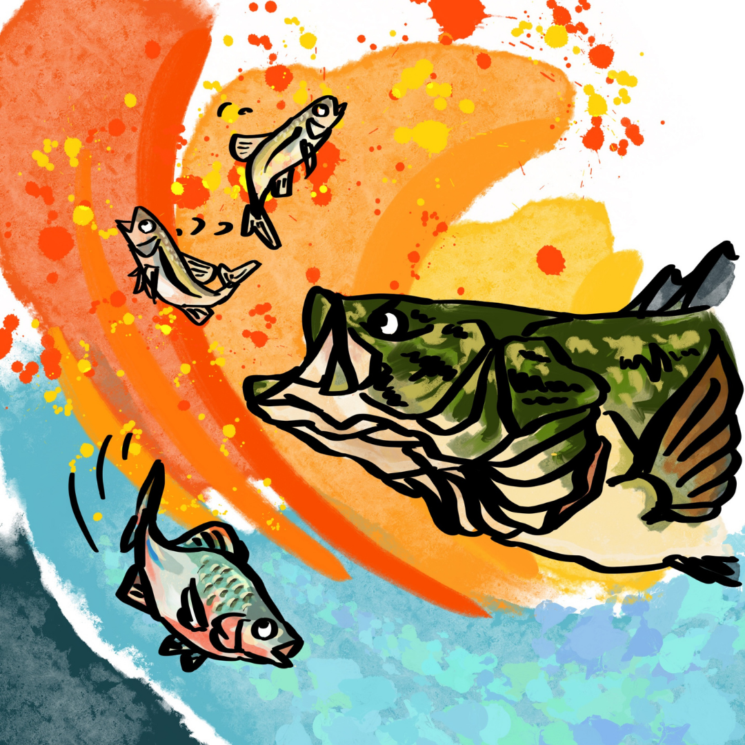 オオクチバスは、トトたちを食べようと追い回していく様子のイラスト