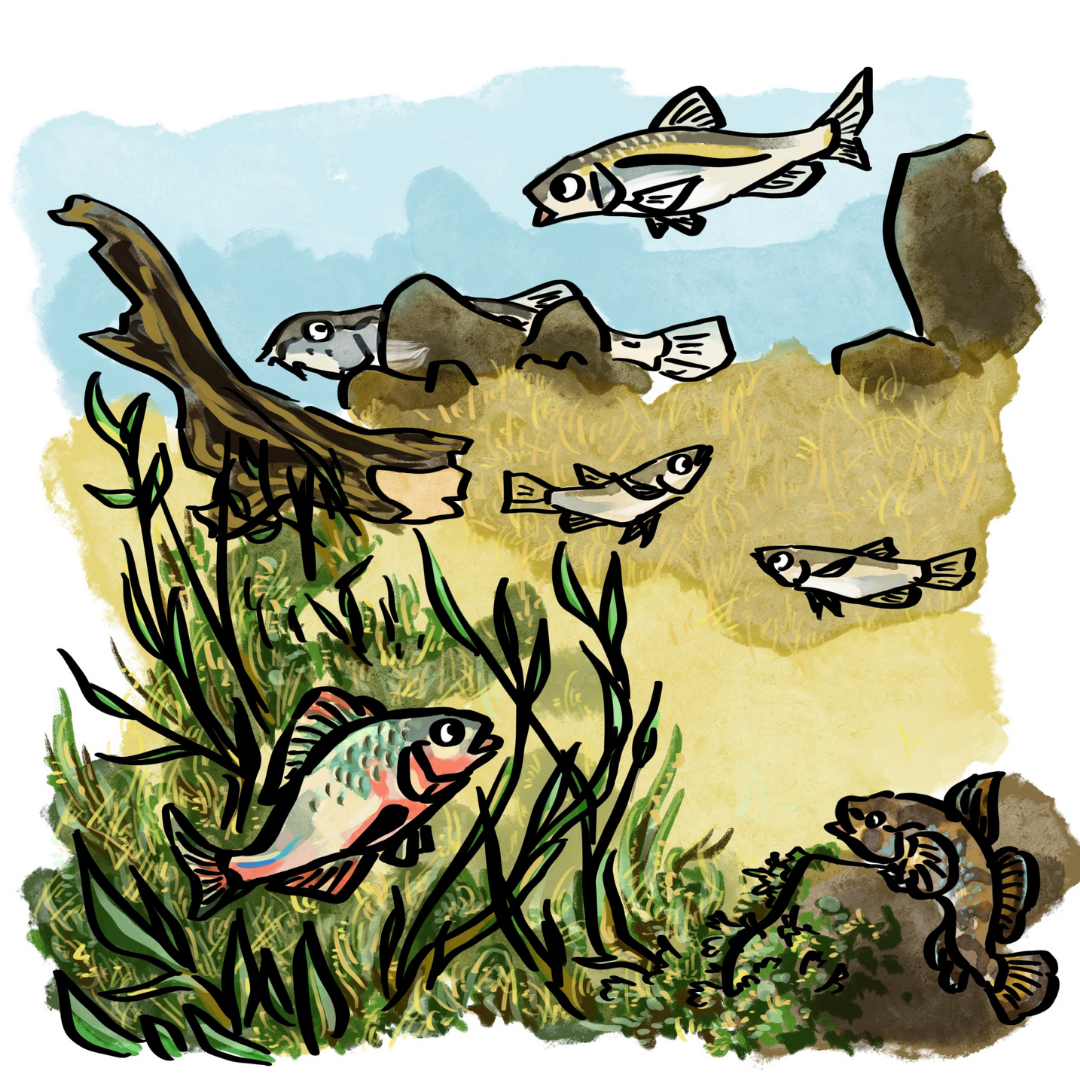 平和な水辺でトト達が遊ぶ様子のイラスト