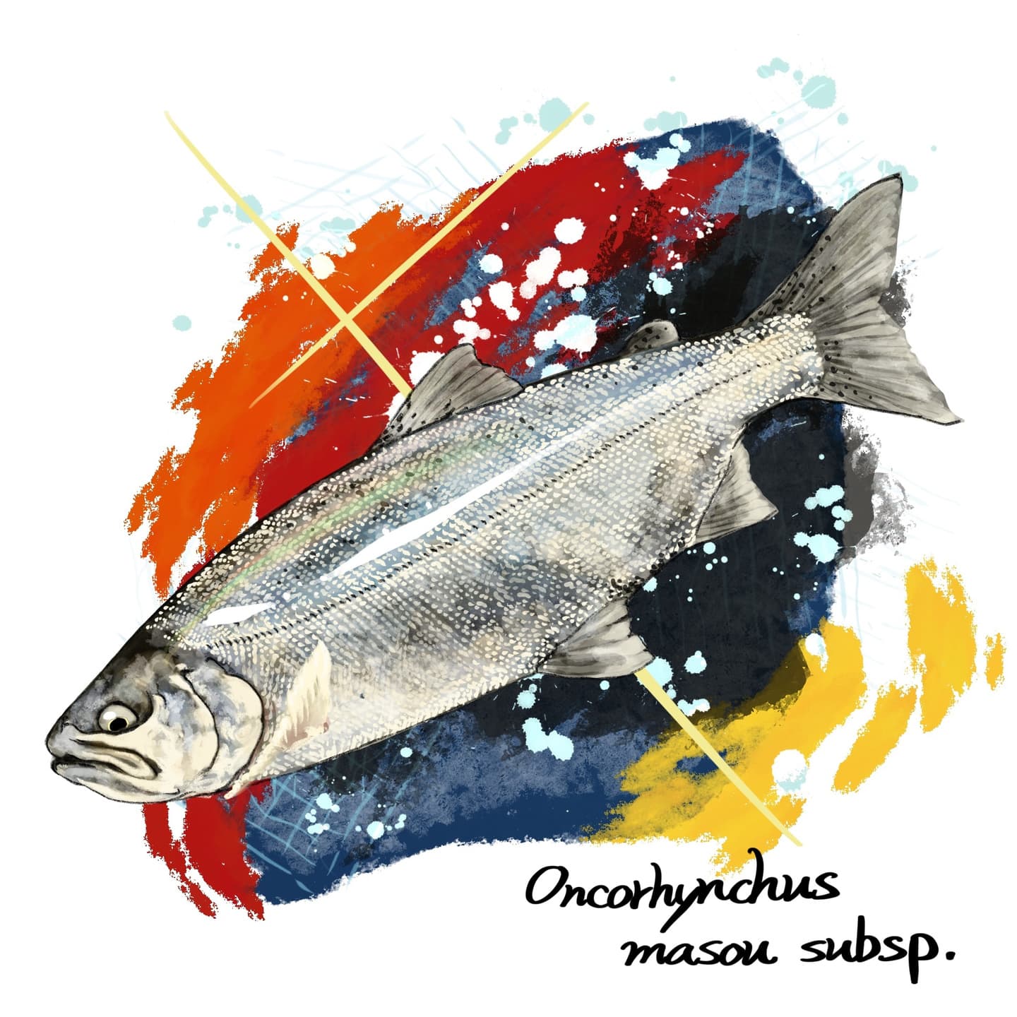 中禅寺湖固有のホンマスの姿を描くイラスト