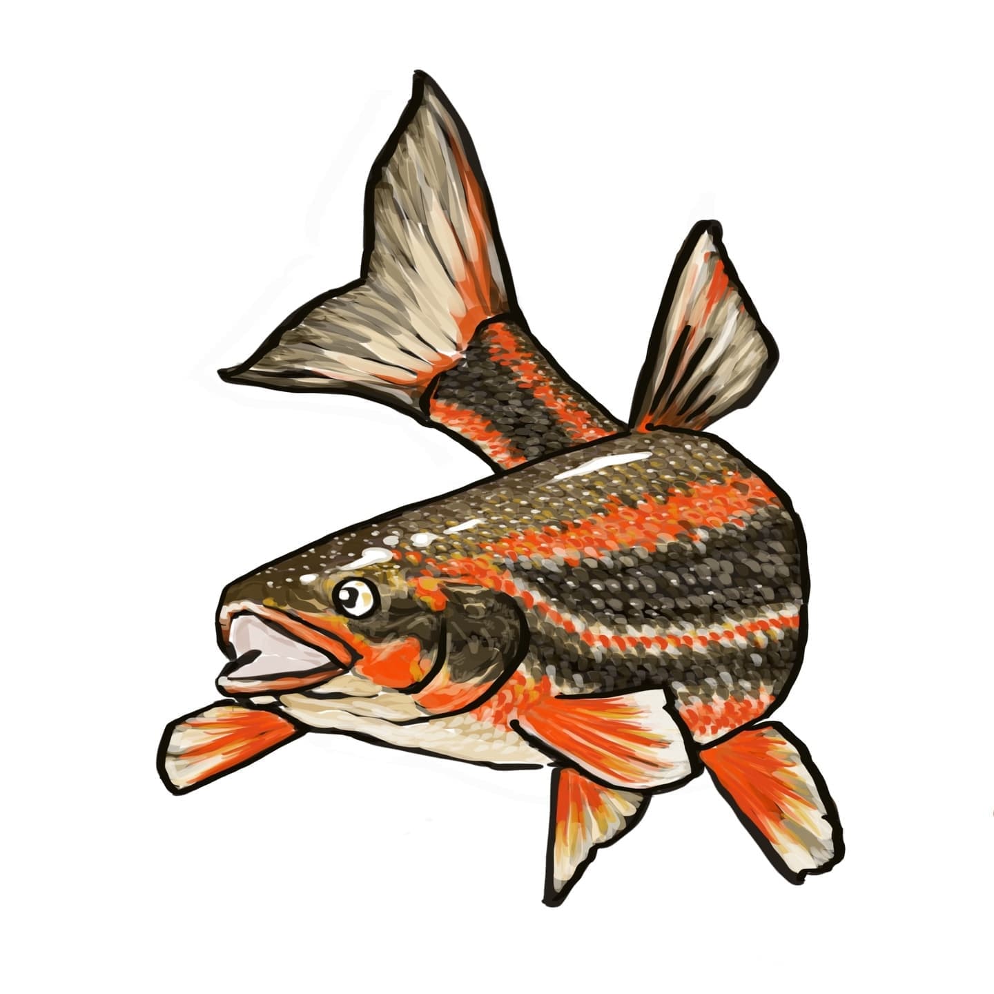 ウグイの可愛いイラスト