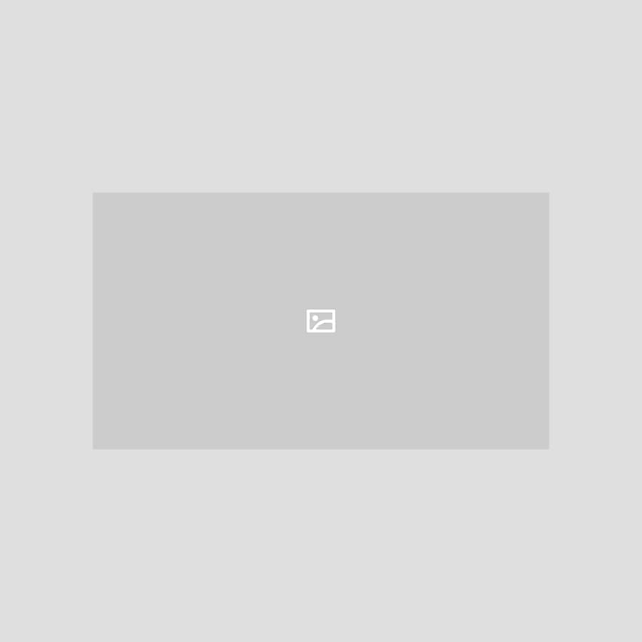 商用利用可能な無料の魚イラスト：正確で美しく、学名を併記。