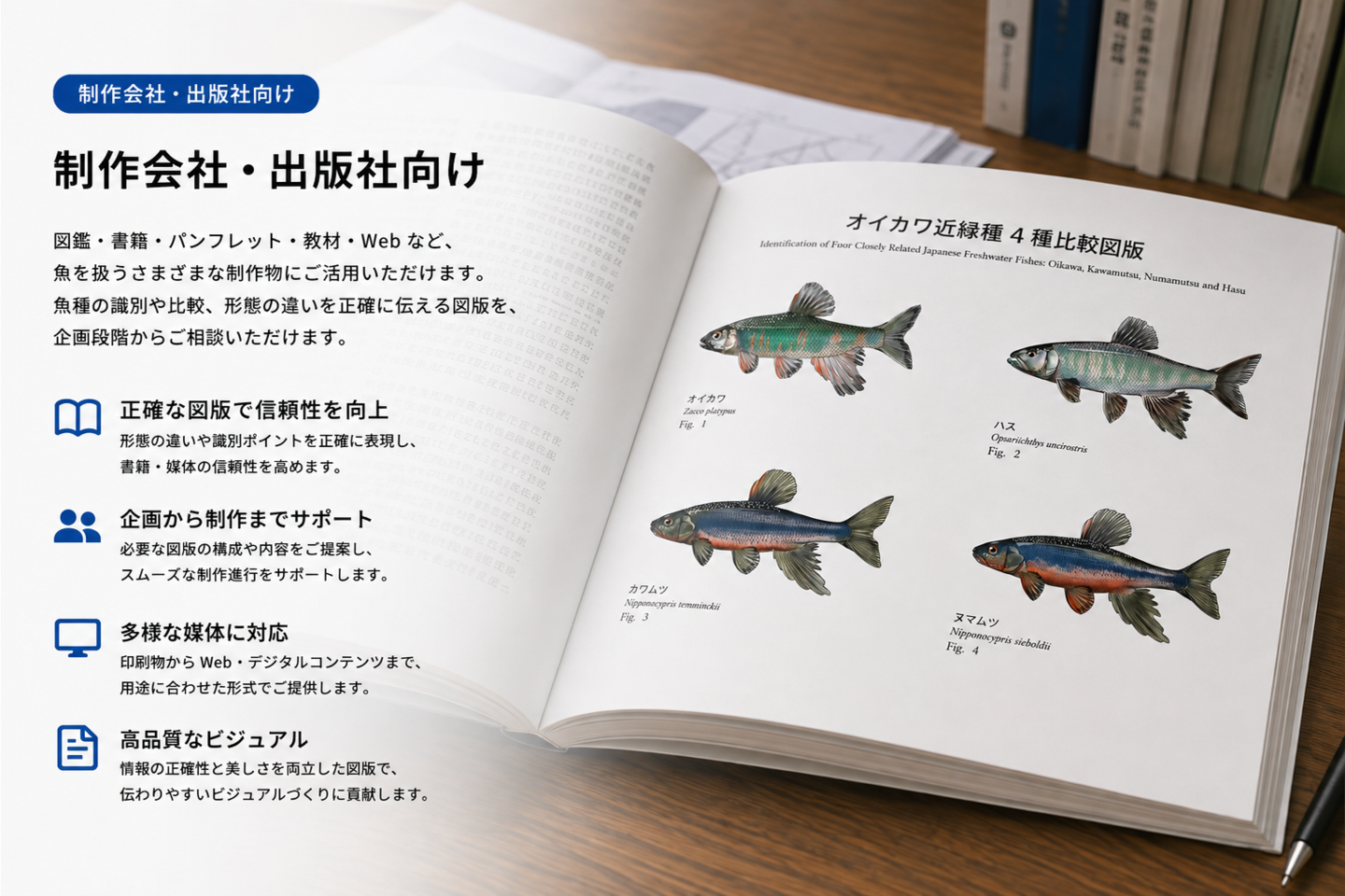 魚類図版を図鑑・書籍の誌面に使用した活用イメージ