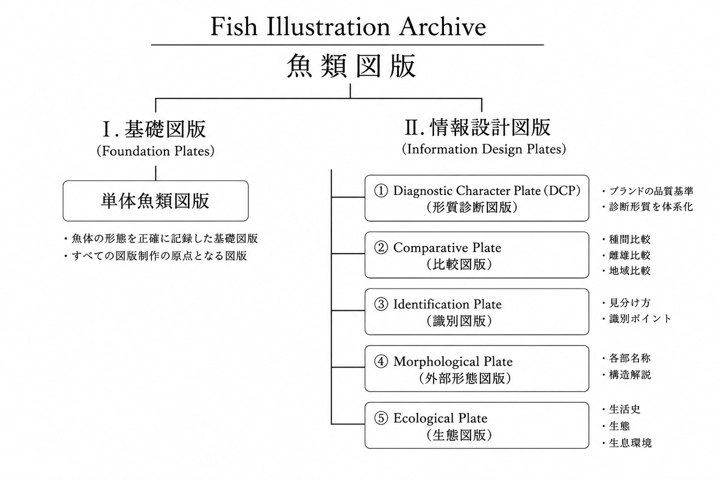 Fish Illustration Archiveの魚類図版体系を示す模式図。基礎図版（Foundation Plates）を基盤とし、情報設計図版（Information Design Plates）の品質基準としてDiagnostic Character Plate（DCP）を配置し、その下に比較図版、識別図版、外部形態図版、生態図版の5種類の図版体系を階層的に整理した図。