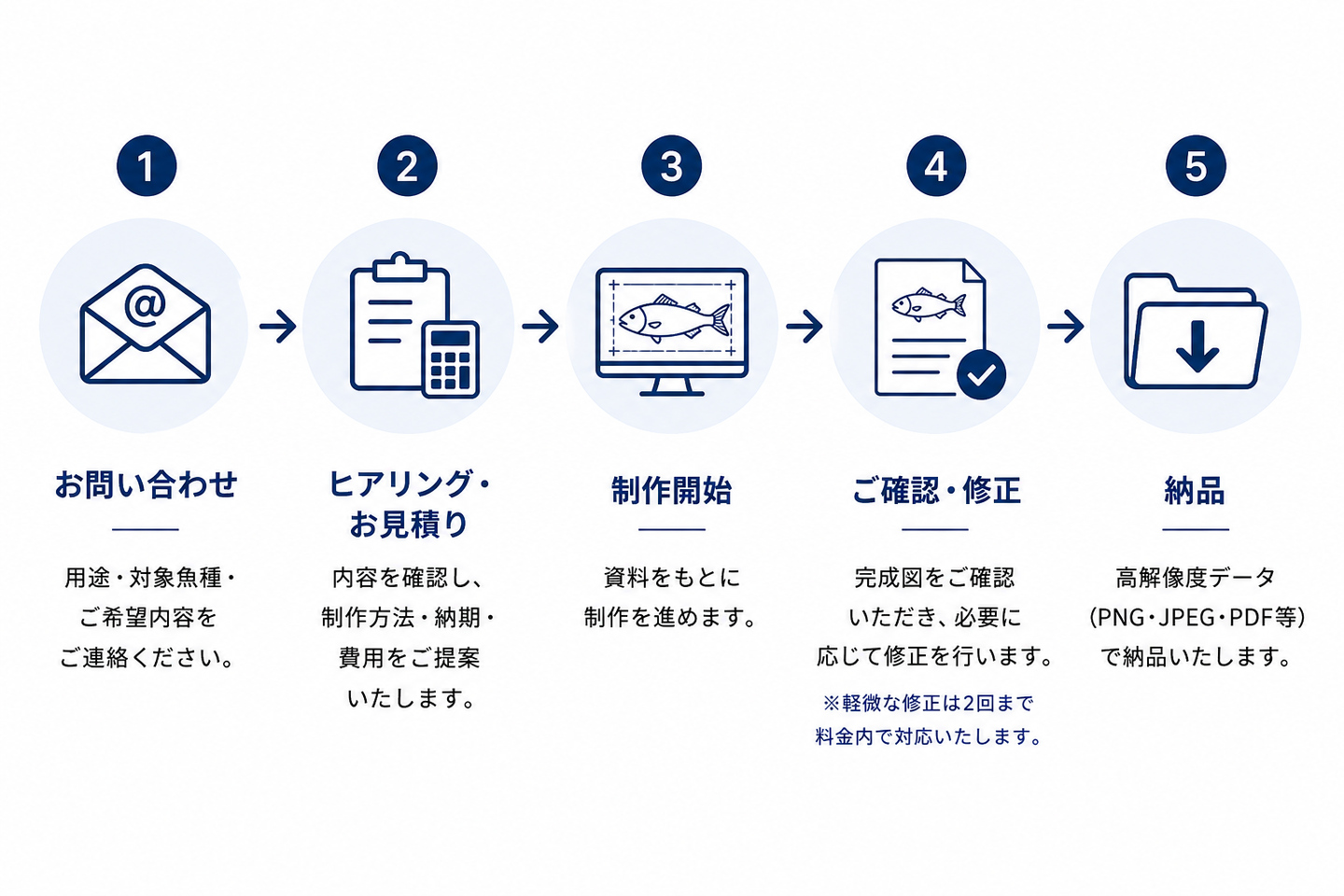 魚類図版制作の流れを示したフローチャート。お問い合わせ、ヒアリング・お見積り、制作開始、ご確認・修正、納品までの5つの工程をアイコンと矢印で分かりやすく紹介している。