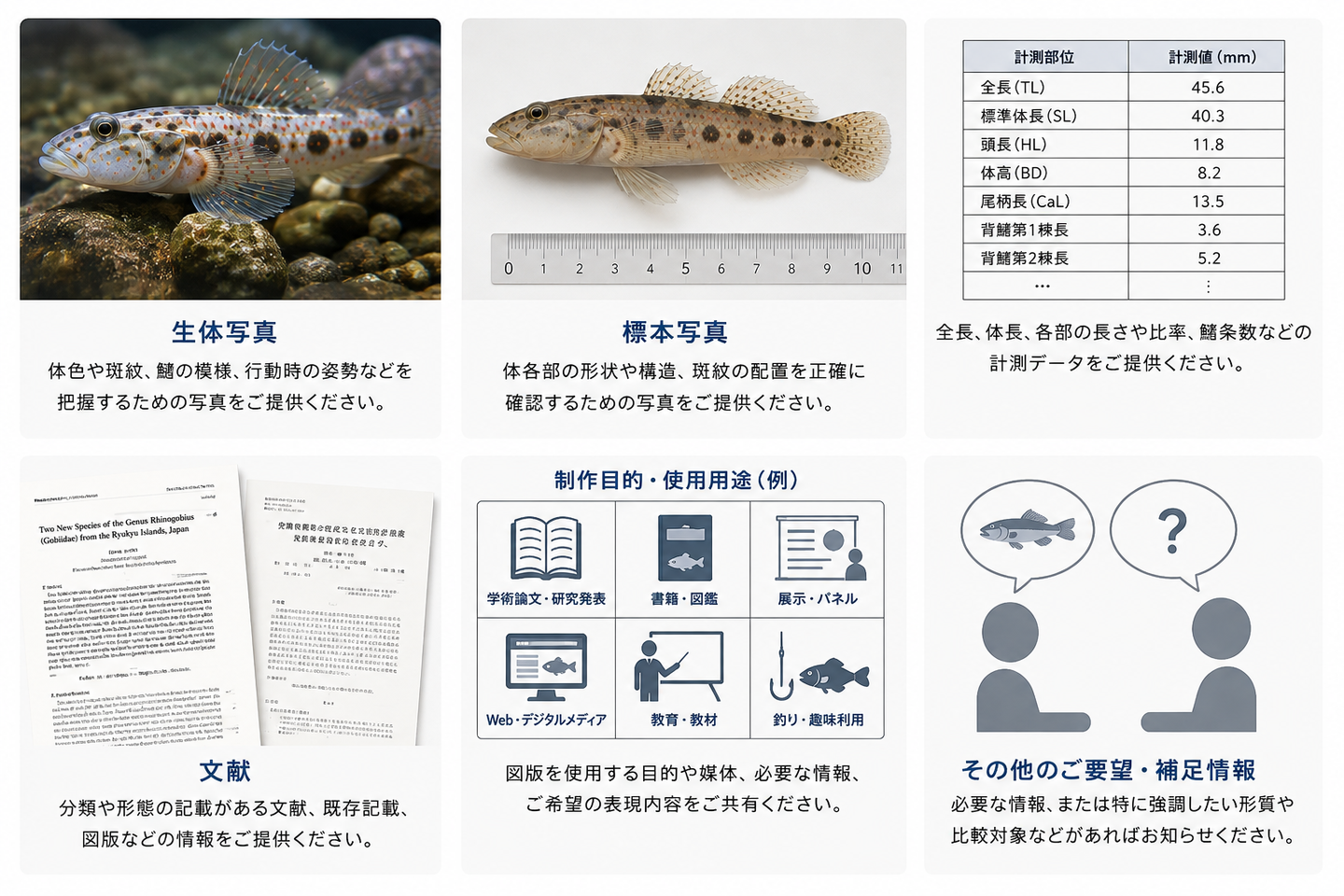 魚類図版制作に必要な参考資料の例をまとめたインフォグラフィック。生体写真、標本写真、計測データ、文献、制作目的・使用用途、その他の要望・補足情報の6項目を、写真やアイコンを用いて分かりやすく紹介している。