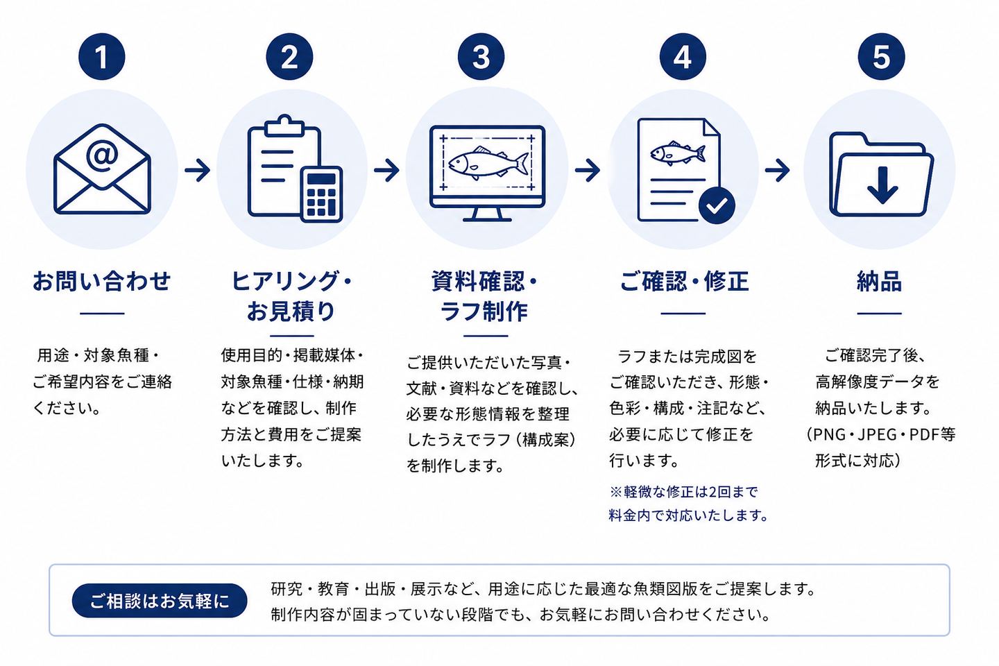 魚類図版の制作工程を示した図。お問い合わせ、ヒアリングと見積り、資料確認とラフ制作、確認と修正、データ納品の5段階で進行する流れを示している。